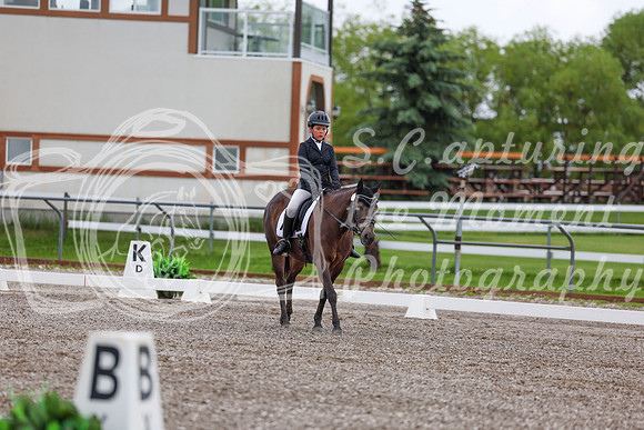 2025 - Dressage Festival - Sunday July 6th - 01694