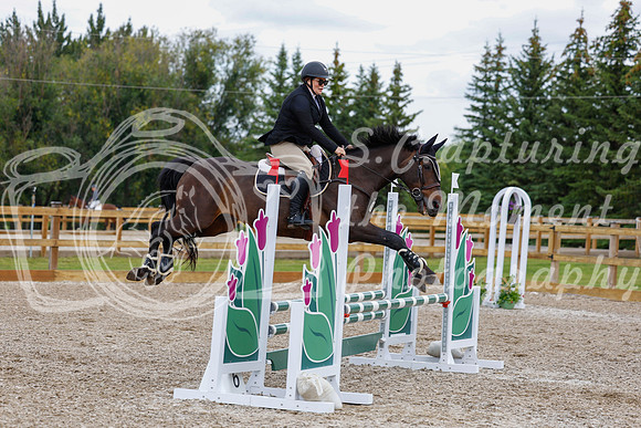 2025 - Haylee - Picco Horse Show - Saturday July 26th 05322