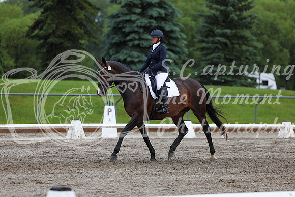 2025 - Dressage Festival - Sunday July 6th - 05658