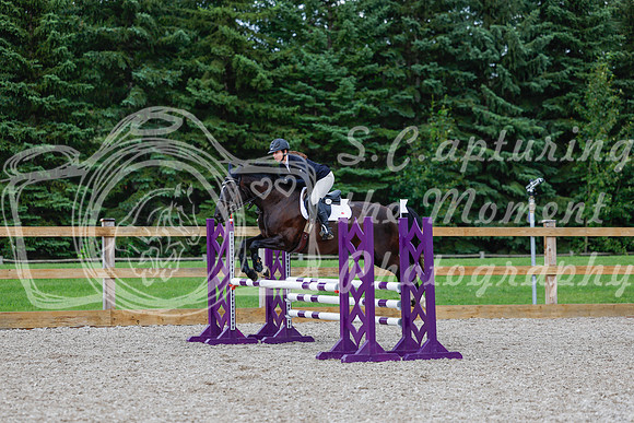 2025 - Haylee - Picco Horse Show - Sunday July 27th 03519