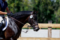 2025 - Haylee - Picco Horse Show - Thursday July 24th 04121