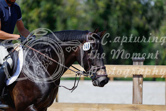 2025 - Haylee - Picco Horse Show - Thursday July 24th 04121