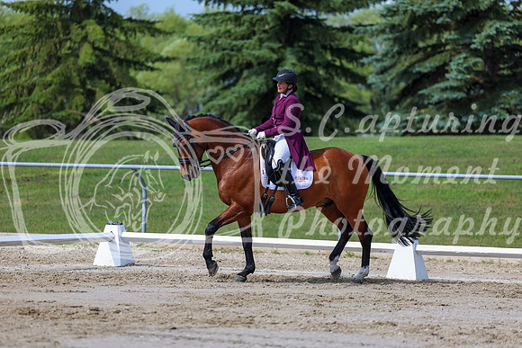 2025 - Dressage Festival - Saturday July 5th - 03222