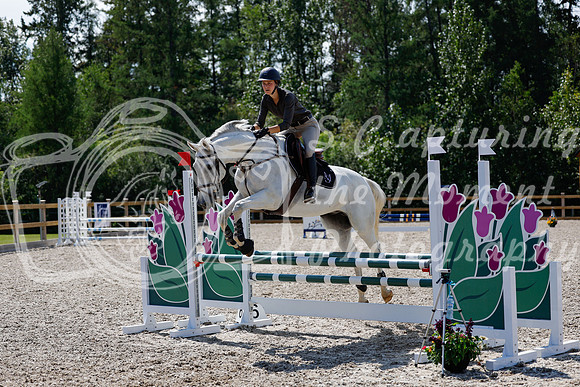 2025 - Haylee - Picco Horse Show - Thursday July 24th 02356