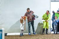 2025 - Shea - Teesdale - Saturday July 26th - 00457
