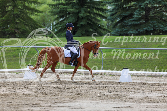 2025 - Dressage Festival - Saturday July 5th - 13797