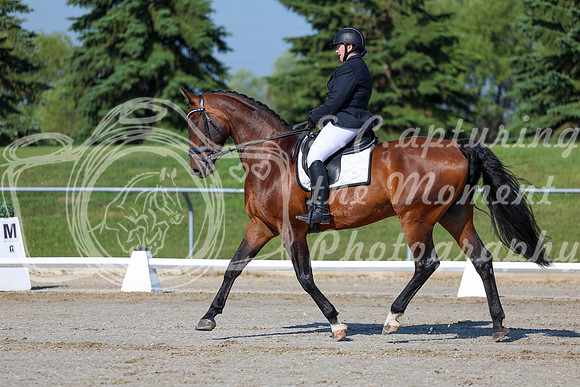 2025 - Dressage Festival - Saturday July 5th - 01054