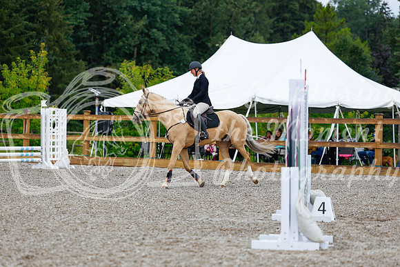 2025 - Haylee - Picco Horse Show - Sunday July 27th 00277