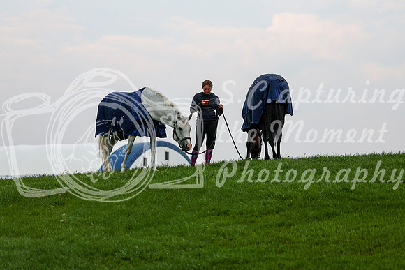 2025 - Shea - June Classic I - Thursday June 12th - 00003