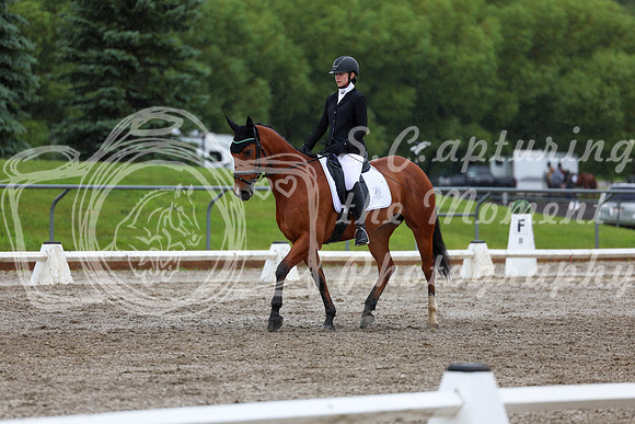 2025 - Dressage Festival - Sunday July 6th - 07248