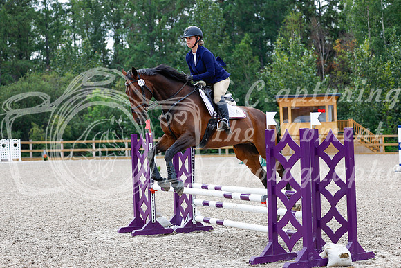 2025 - Haylee - Picco Horse Show - Saturday July 26th 03790
