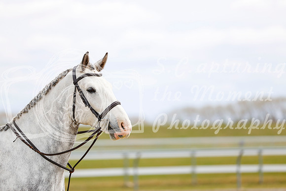 2025 - Haylee - Spring Welcome - Sunday April 27th - 03379