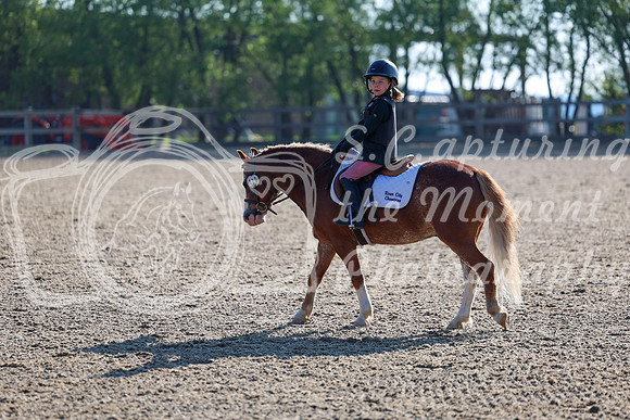 2025 - Dressage Festival - Saturday July 5th - 00028