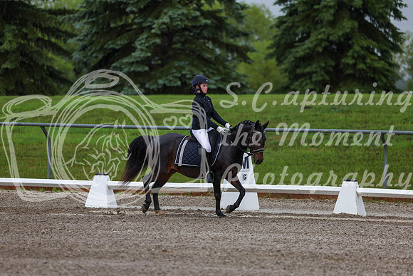 2025 - Dressage Festival - Sunday July 6th - 00032