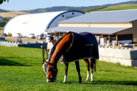 2025 - Haylee - Rocky Mountain Classic III - Thursday August 21st - 03155