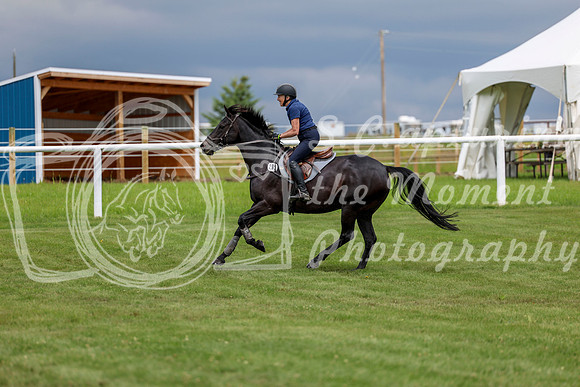 2025 - Shea - Teesdale - Friday July 25th - 07342