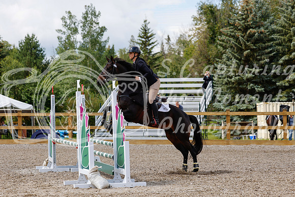 2025 - Haylee - Picco Horse Show - Sunday July 27th 03384