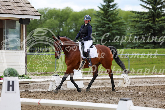 2025 - Dressage Festival - Sunday July 6th - 11814