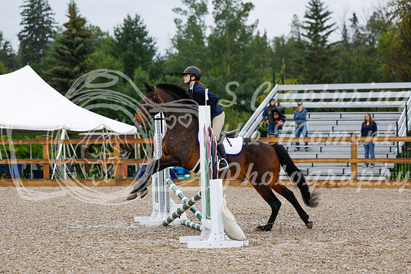 2025 - Haylee - Picco Horse Show - Sunday July 27th 00133
