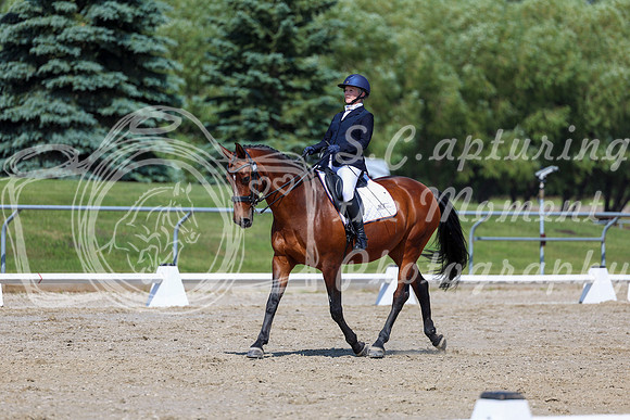 2025 - Dressage Festival - Saturday July 5th - 05644