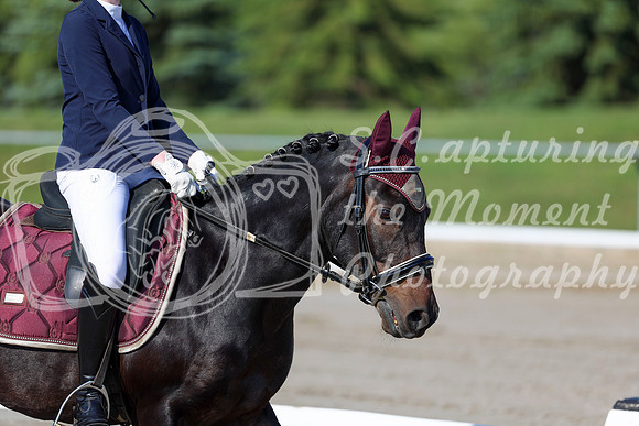 2025 - Dressage Festival - Saturday July 5th - 00657