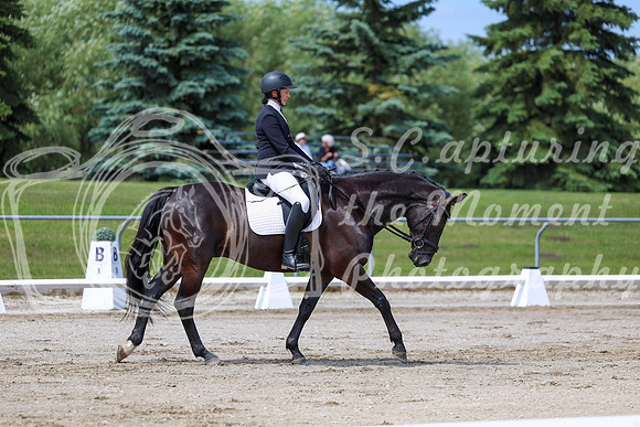 2025 - Dressage Festival - Saturday July 5th - 07096