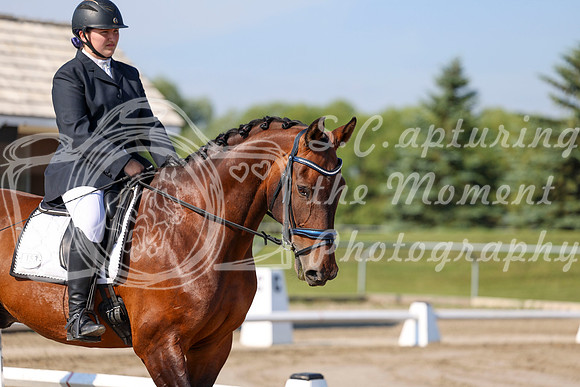 2025 - Dressage Festival - Saturday July 5th - 00965