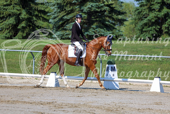 2025 - Dressage Festival - Saturday July 5th - 01703