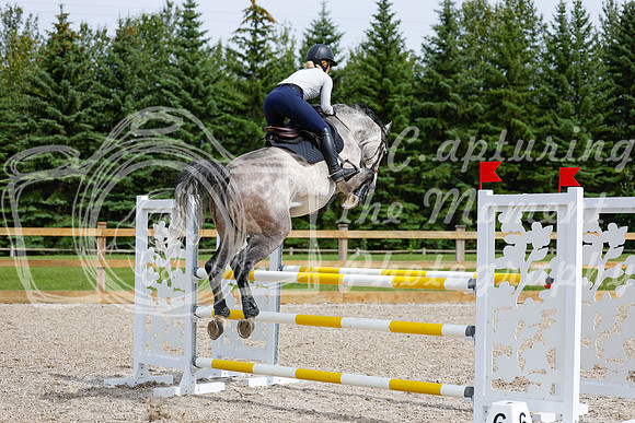 2025 - Haylee - Picco Horse Show - Friay July 25th 04405