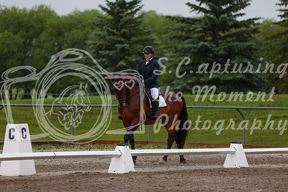 2025 - Dressage Festival - Sunday July 6th - 00335
