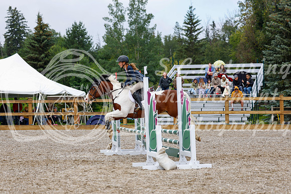 2025 - Haylee - Picco Horse Show - Sunday July 27th 01677