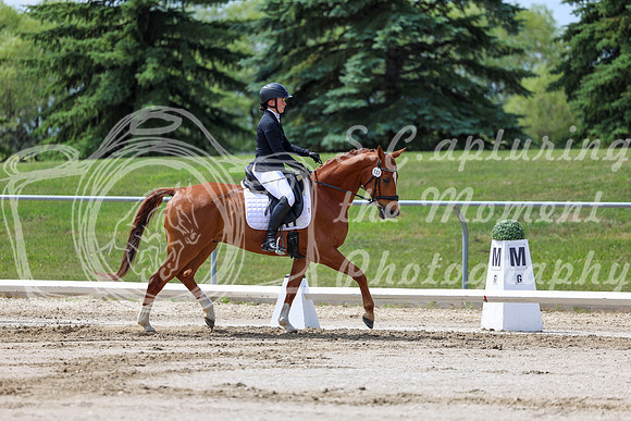 2025 - Dressage Festival - Saturday July 5th - 07864