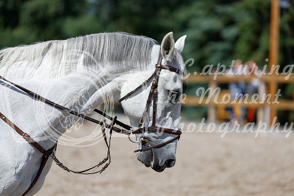 2025 - Haylee - Picco Horse Show - Thursday July 24th 02457