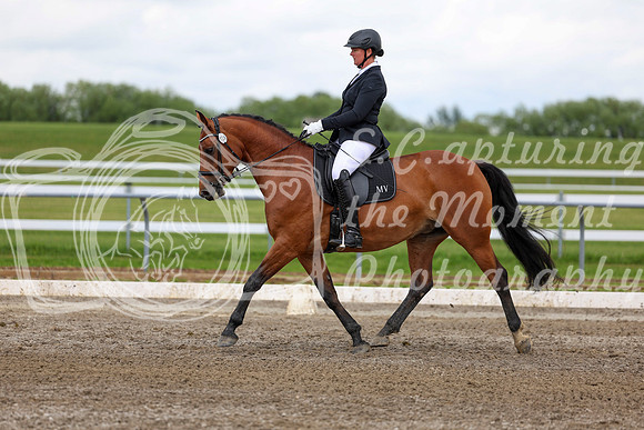2025 - Dressage Festival - Sunday July 6th - 11724