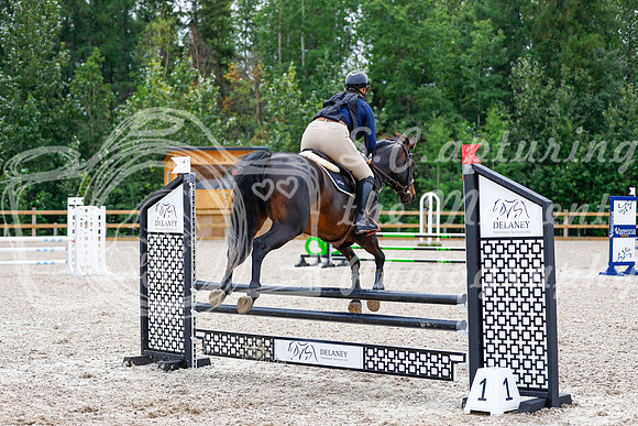 2025 - Haylee - Picco Horse Show - Friay July 25th 02820