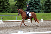 2025 - Dressage Festival - Sunday July 6th - 10398