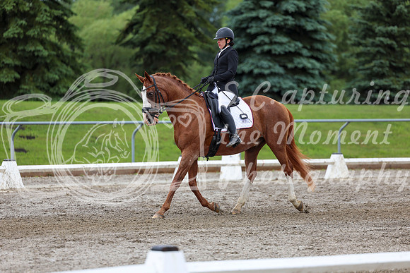 2025 - Dressage Festival - Sunday July 6th - 10398