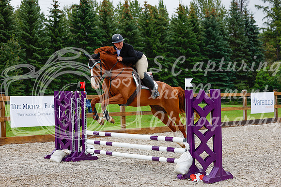 2025 - Haylee - Picco Horse Show - Sunday July 27th 01518