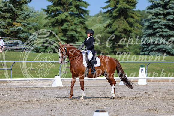 2025 - Dressage Festival - Saturday July 5th - 02616
