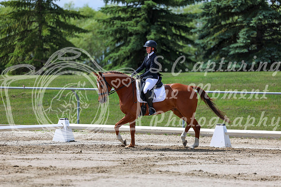 2025 - Dressage Festival - Saturday July 5th - 07993