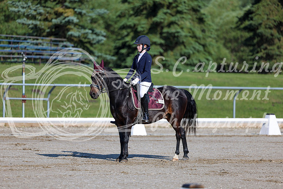 2025 - Dressage Festival - Saturday July 5th - 00665