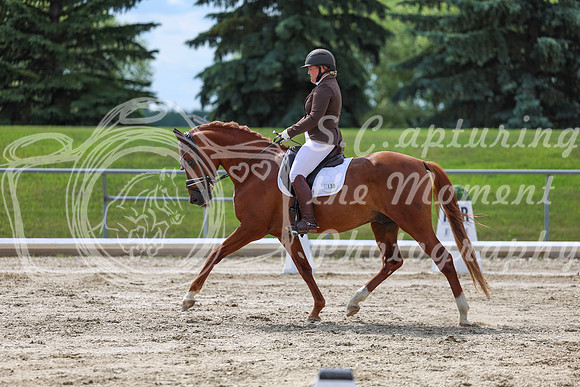 2025 - Dressage Festival - Saturday July 5th - 14150