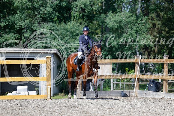 2025 - Haylee - Picco Horse Show - Thursday July 24th 02266