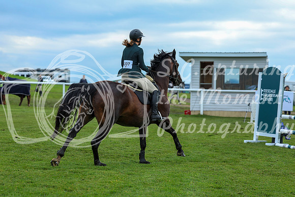 2025 - Shea - Teesdale - Saturday July 26th - 01508
