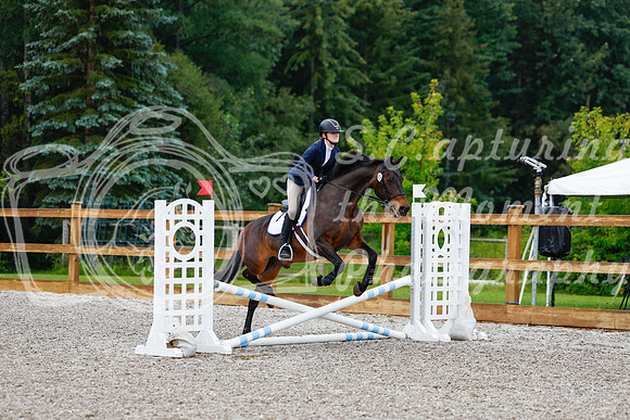 2025 - Haylee - Picco Horse Show - Sunday July 27th 00241