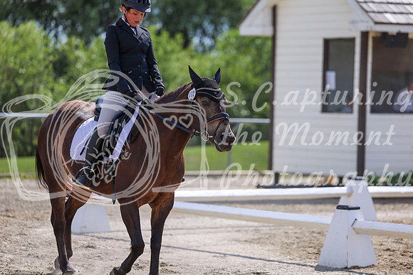 2025 - Dressage Festival - Saturday July 5th - 15434