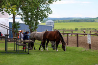 2025 - Shea - Teesdale - Thursday July 24th - 00003