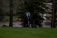 2025 - Shea - Bow Valley II - Thursday May 15th - 00013