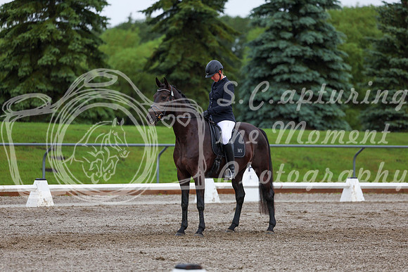 2025 - Dressage Festival - Sunday July 6th - 01885