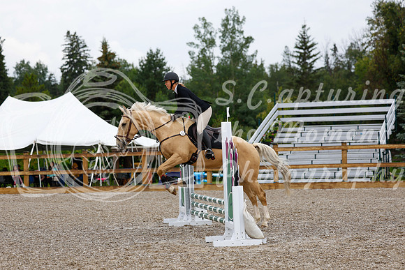 2025 - Haylee - Picco Horse Show - Sunday July 27th 00297